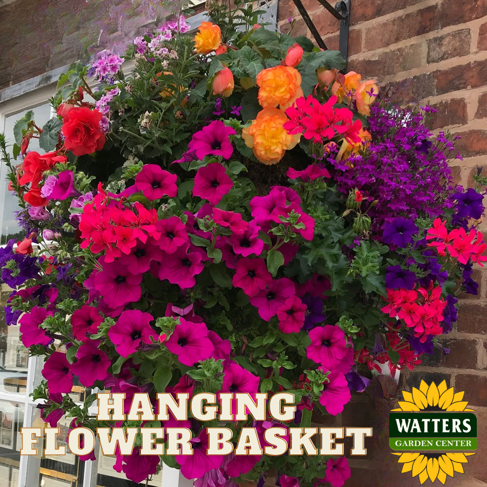 HANGING FLOWER BASKETS 12in