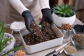 PERLITE 4qt
