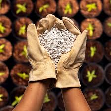 PERLITE 4qt