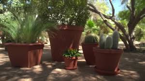TERRACOTTA PLASTIC SAUCER  10in