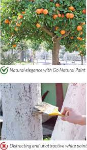 GO NATURAL TREE TRUNK PAINT 32oz
