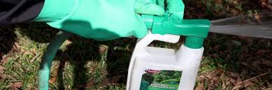 LIQUID SYSTEMIC FUNGICIDE READY TO SPRAY 32oz