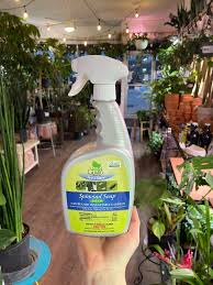 SPINOSAD SOAP RTU 32oz NG