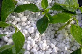 PERLITE 4qt