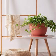TERRACOTTA PLASTIC SAUCER  10in