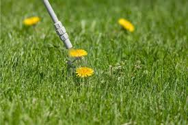 LAWN WEED KILLER READY TO USE 32oz