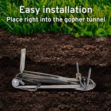 GOPHER TRAP