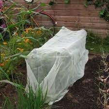 PLANT FROST PROTECTION