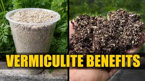 VERMICULITE 4qt