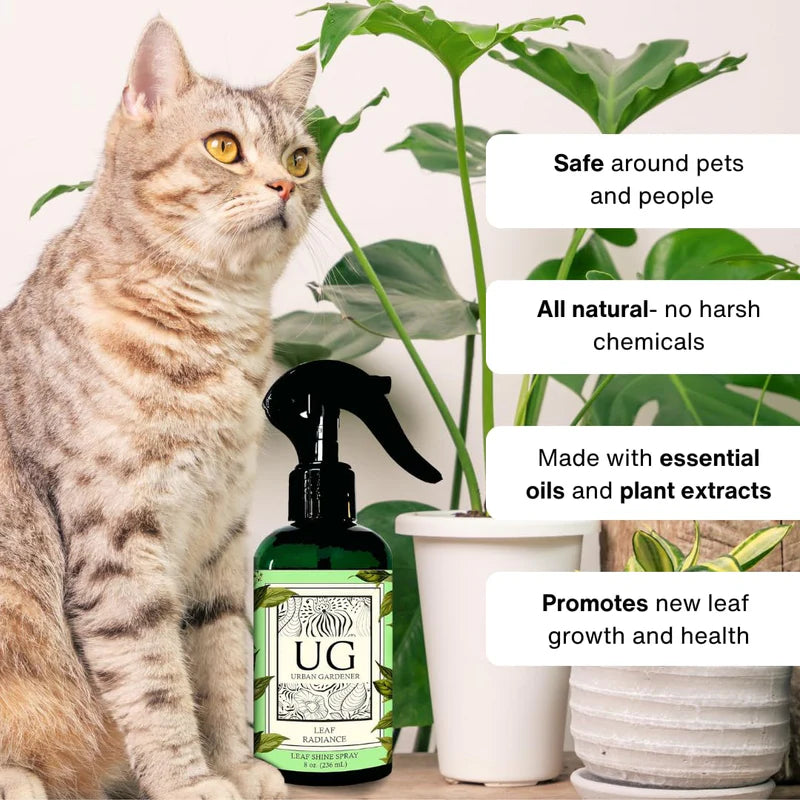 LEAF RADIANCE PLANT SHINE & CLEANER 8oz