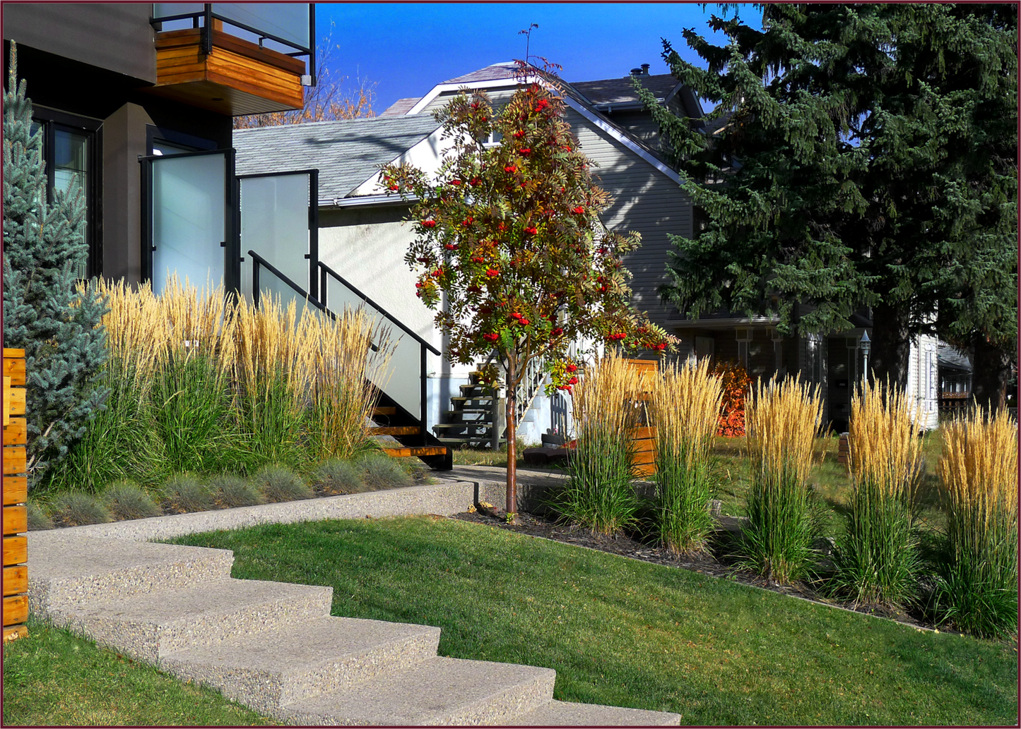 KARL FOERSTER GRASS 2gal