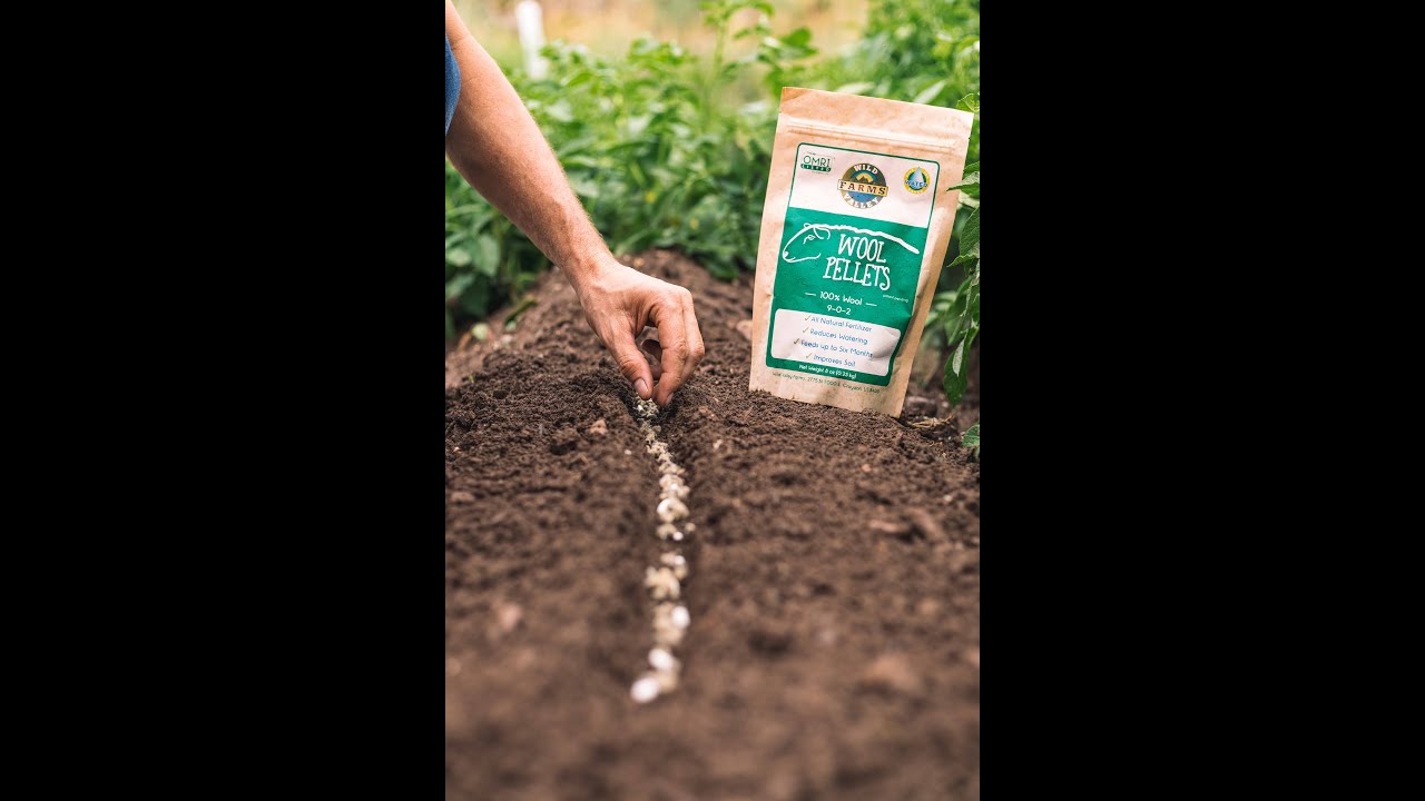 WOOLLETS WOOL PELLETS 16oz