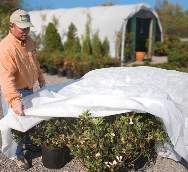 PLANT FROST PROTECTION