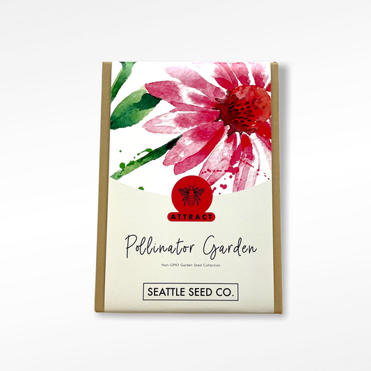 Seed Collection - Pollinator Garden