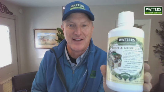 ROOT & GROW COMPOST TEA 1gal