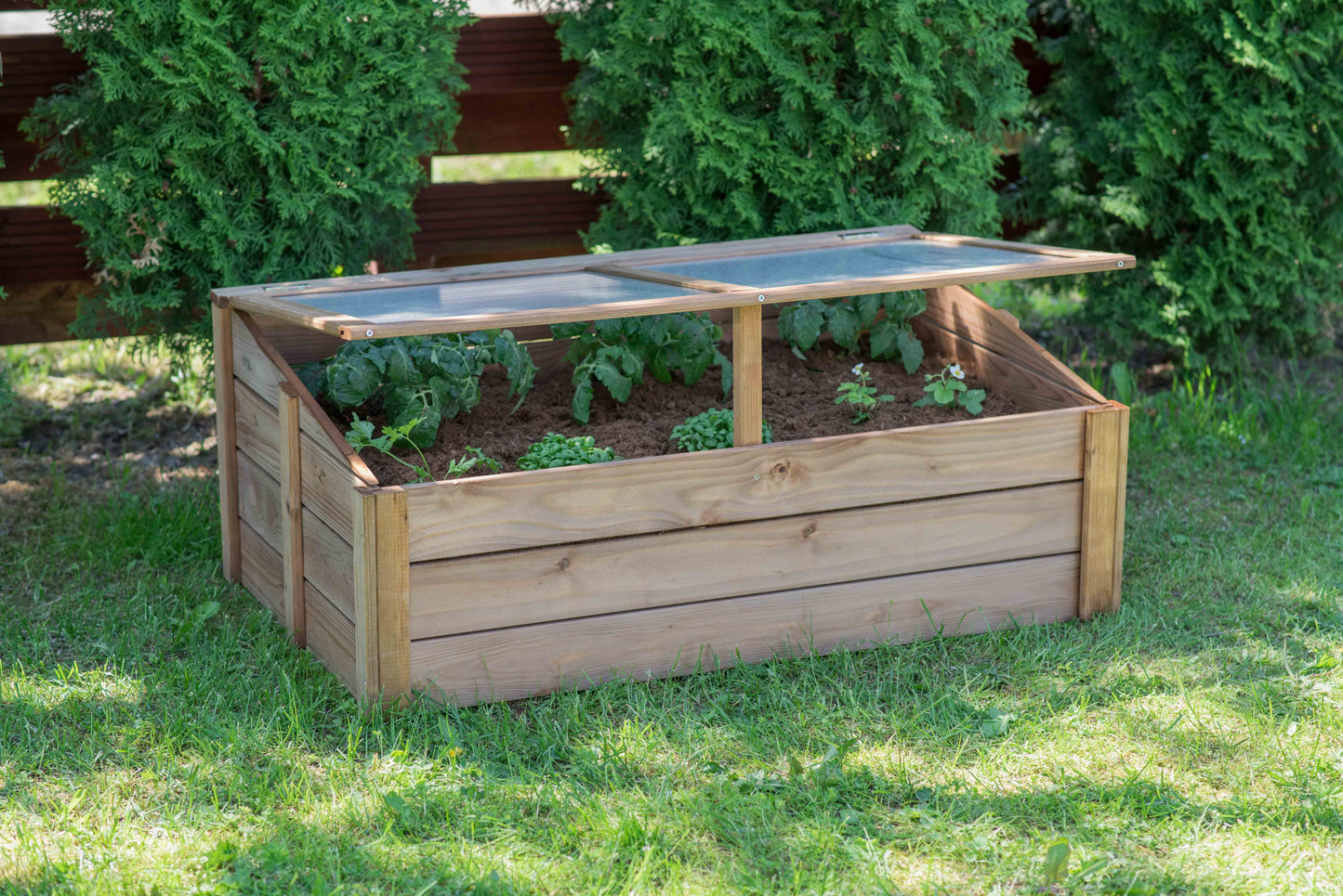 Wooden Cold Frame