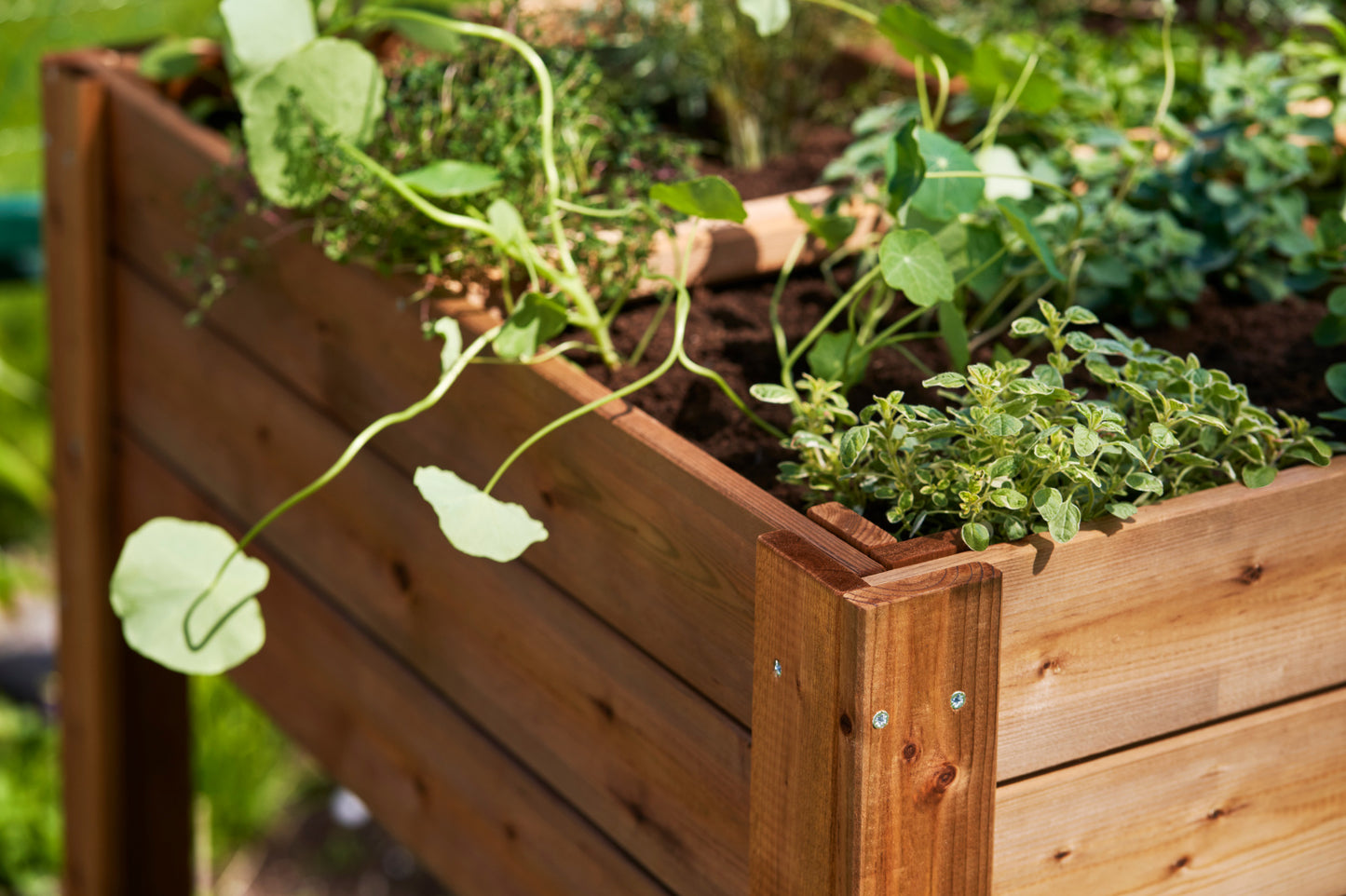 Square Raised Bed with Shelf