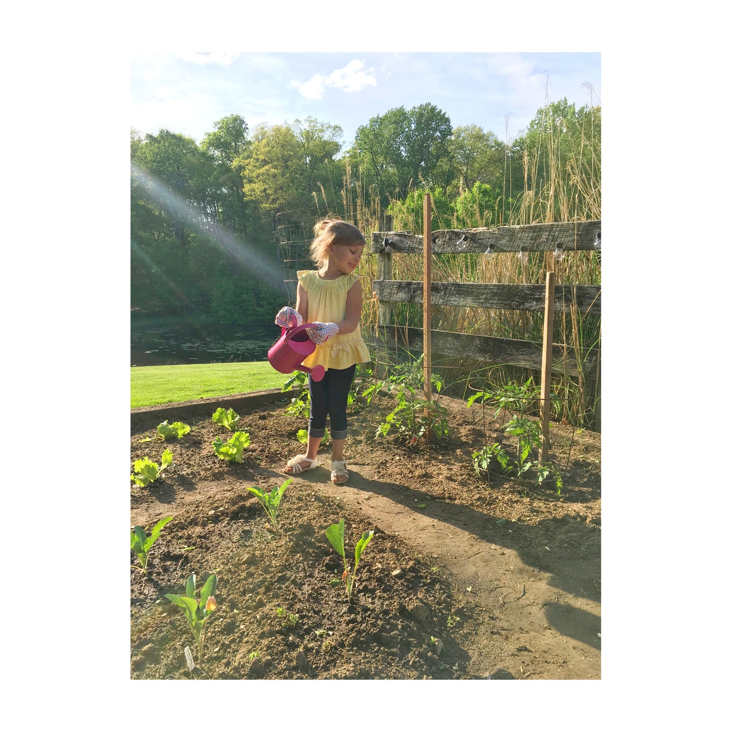 Little Pals Pink Watering Can Kit