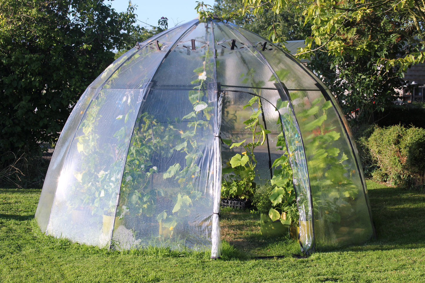 Large Sunbubble Greenhouse