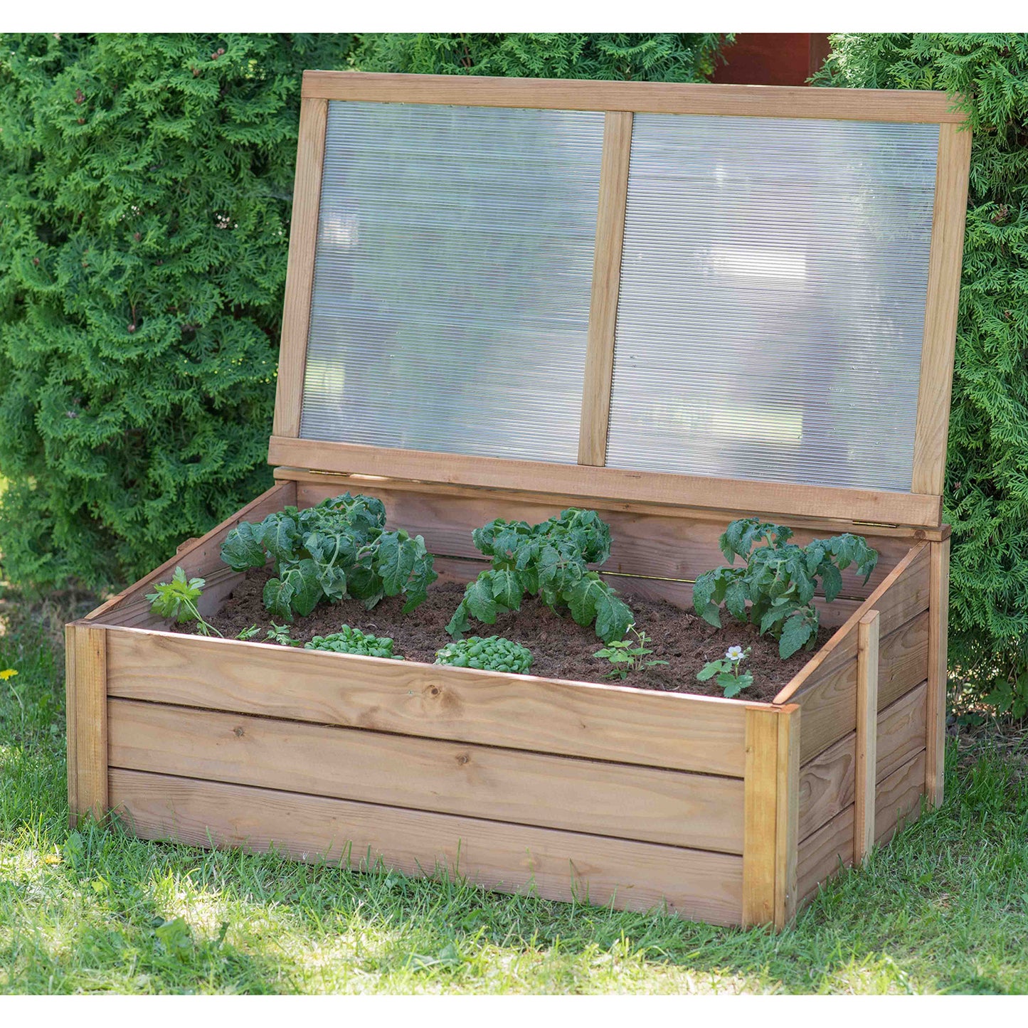 Wooden Cold Frame