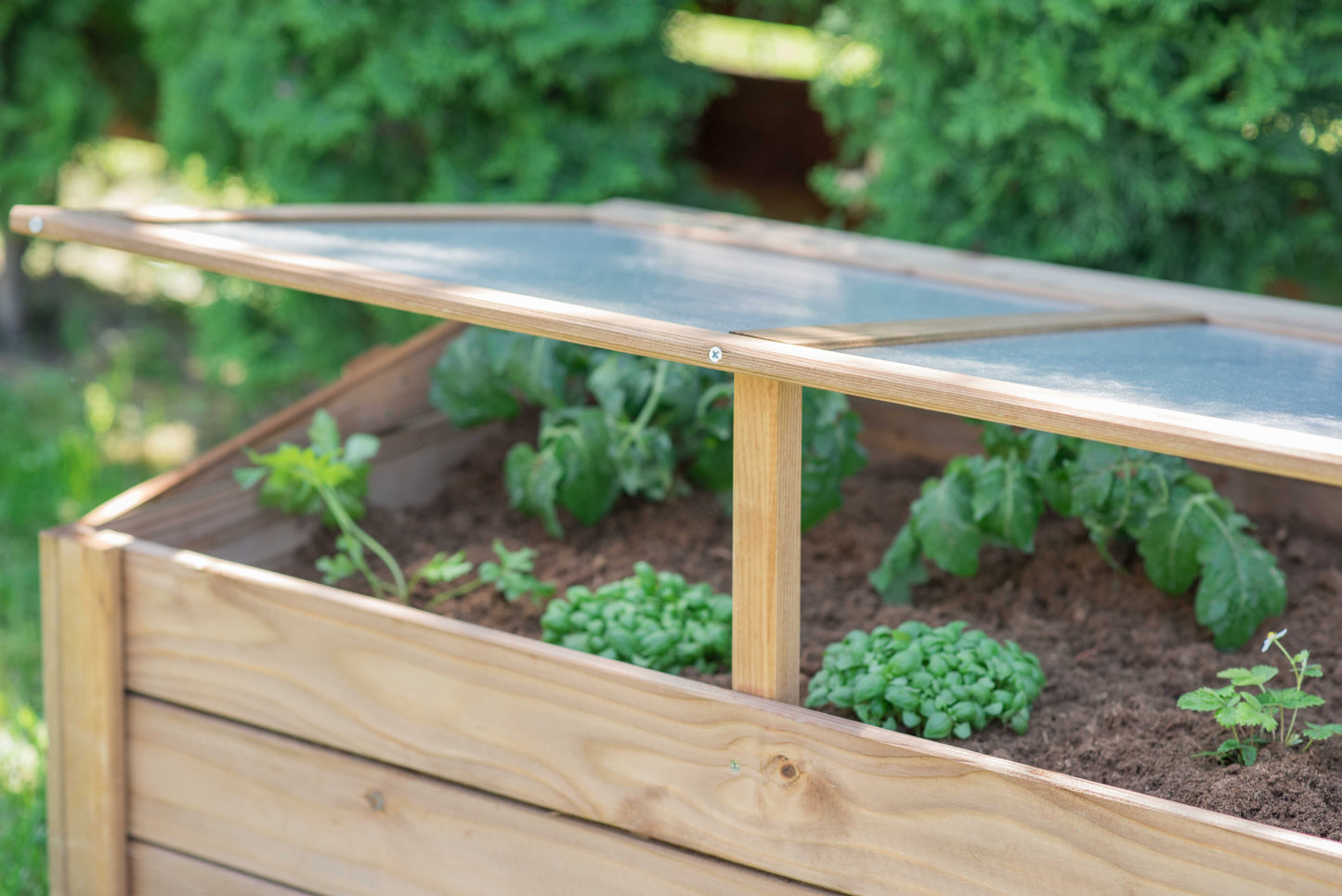 Wooden Cold Frame