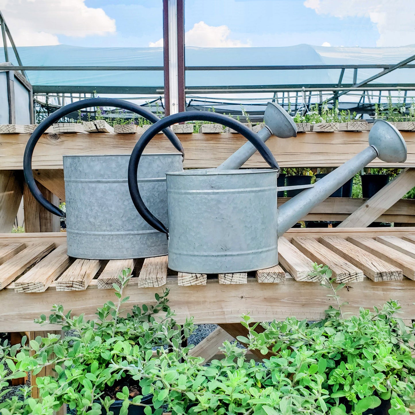 2.1 gal Oval Aged Zinc Watering Can