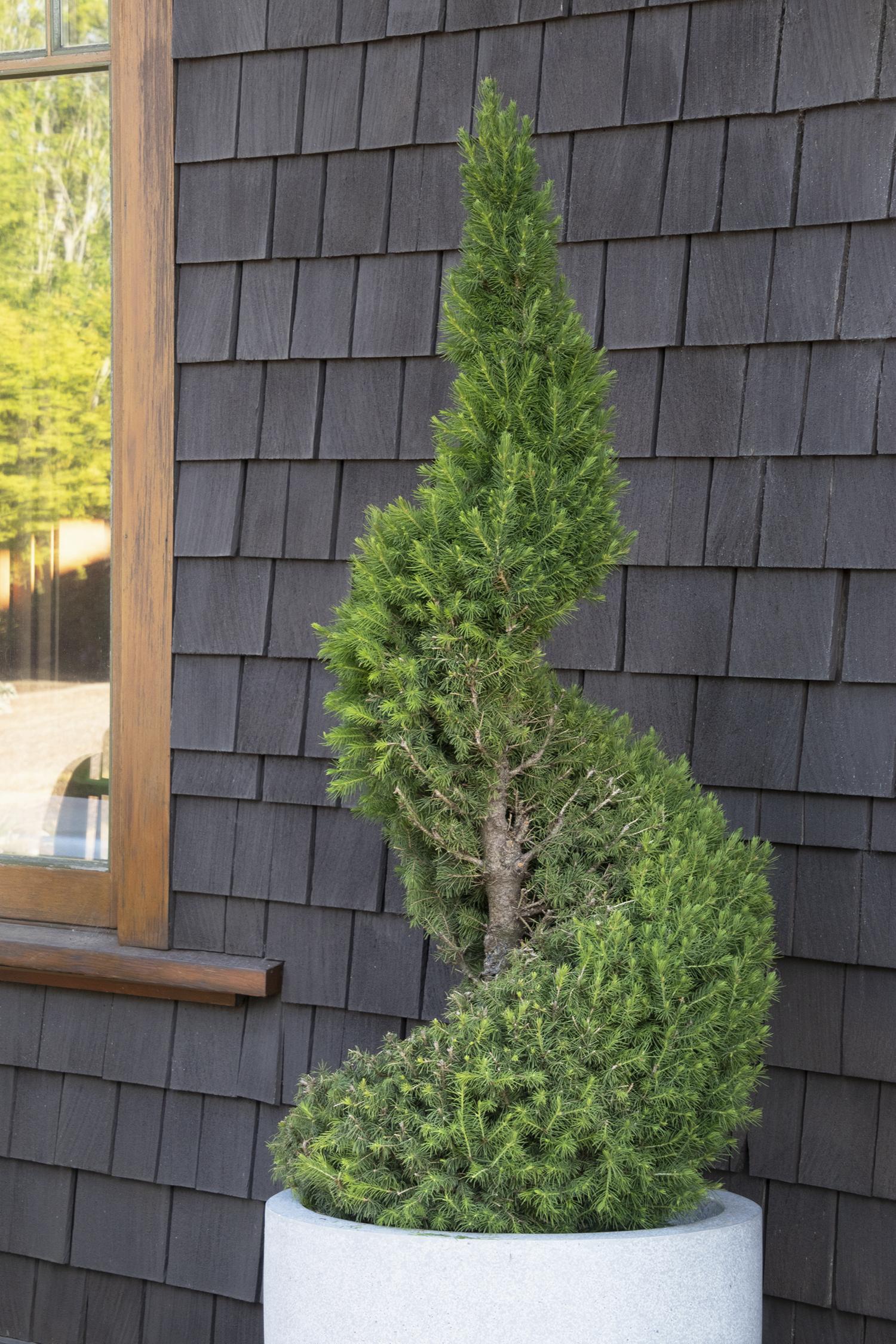 TOPIARY SCULPTURES – Watters Garden Center
