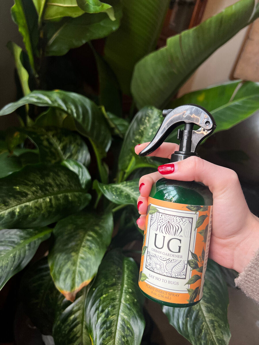 SAY NO TO BUGS SPRAY 8oz