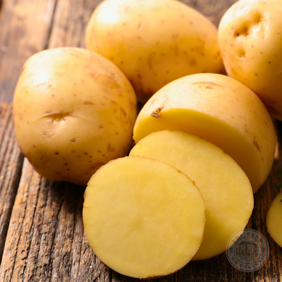 Satina: A High-Yielding potato with German Heritage