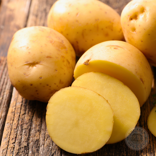 Satina: A High-Yielding potato with German Heritage
