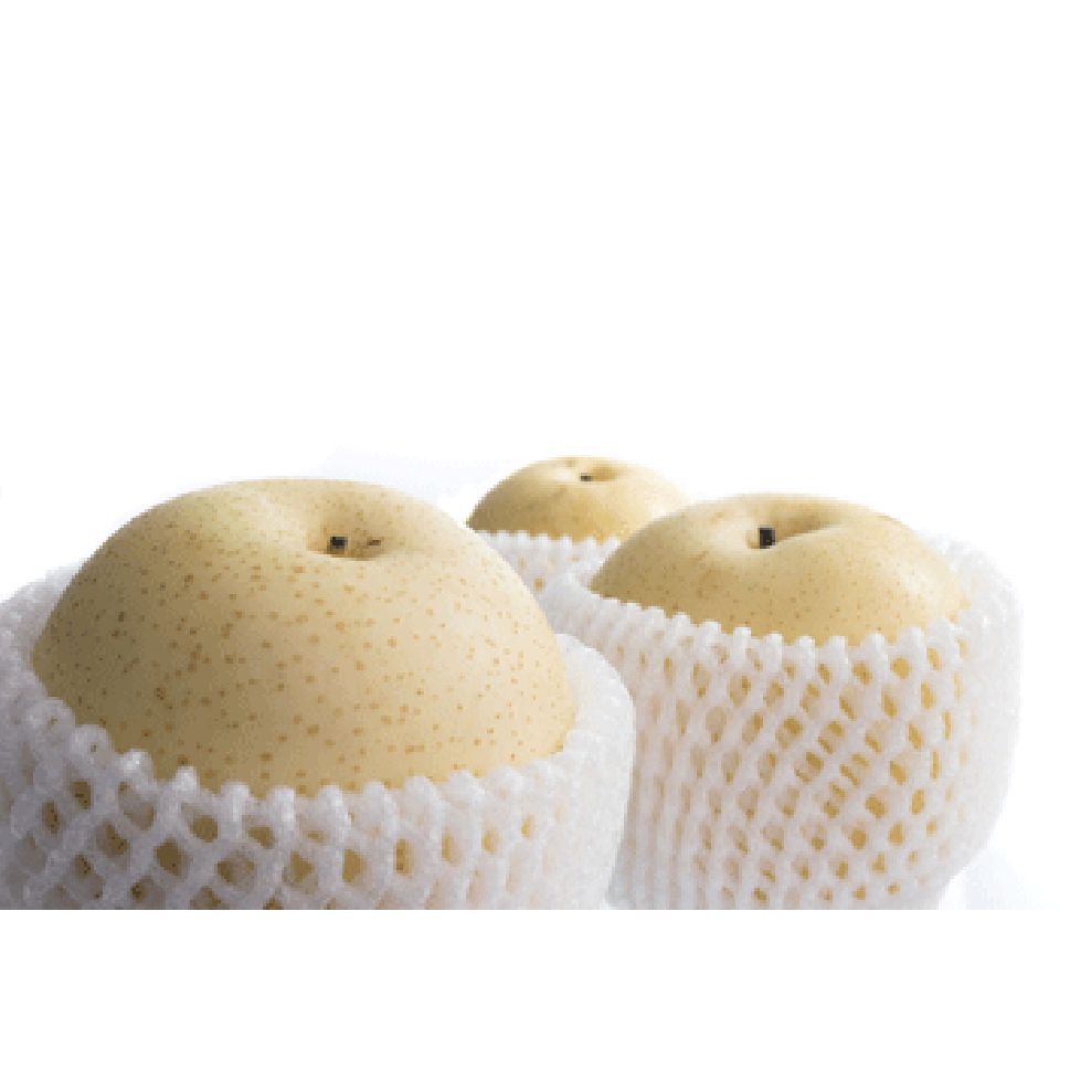 SHINSEIKI ASIAN PEAR 5gal