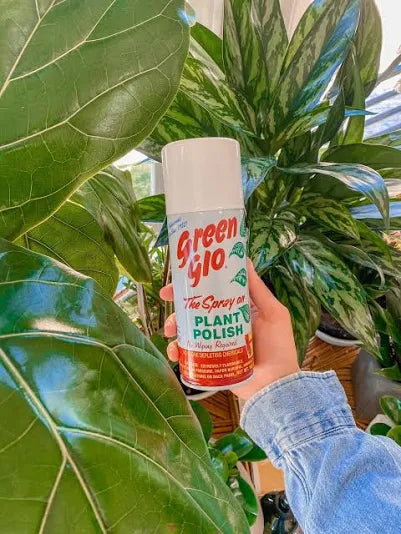 GREEN GLO PLANT POLISH 10.5oz
