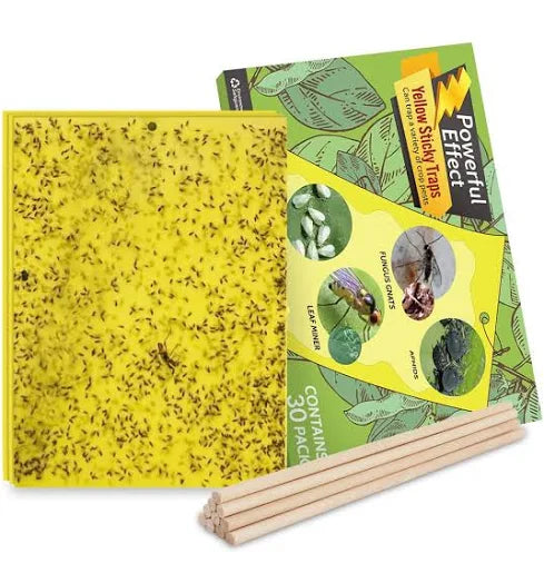 GNAT STIX TRAPS 12pk