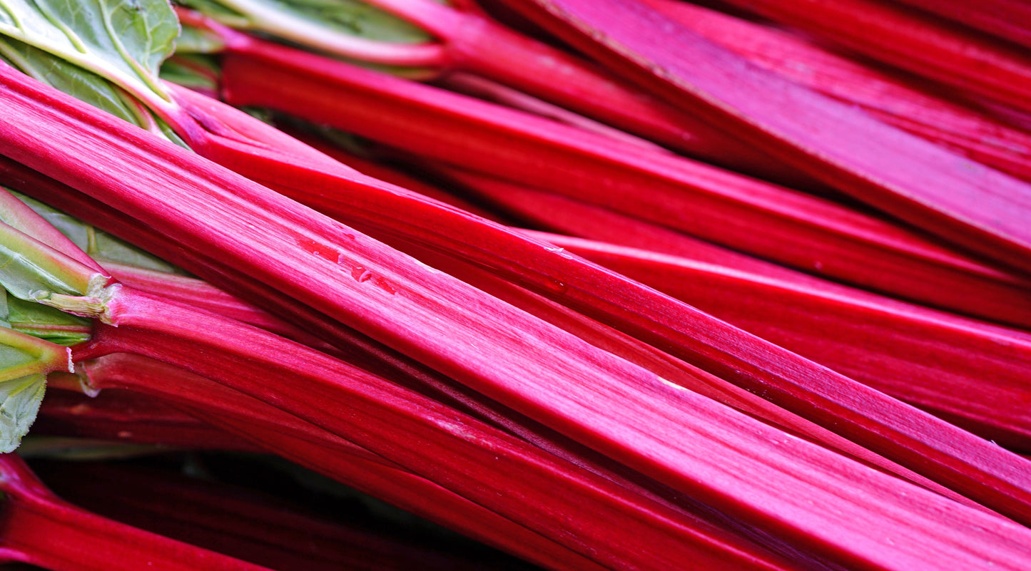 ***Crimson Red Rhubarb - Large Crown Root Division - Rich Flavor, Heavy Yields, Red Stalks