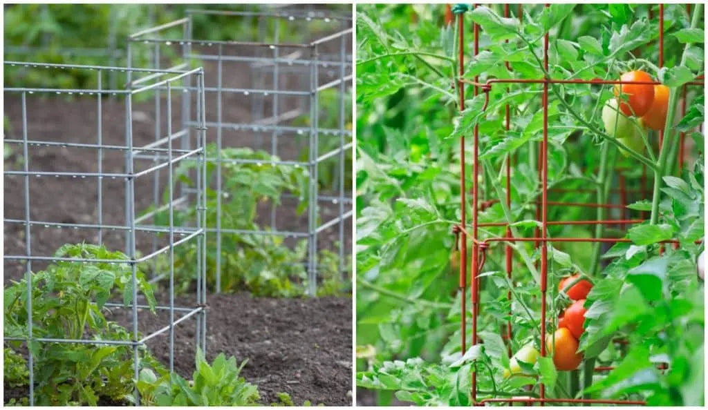 HEAVY DUTY TOMATO CAGE GREEN 47in