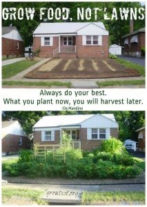 Grow Food Not Lawns