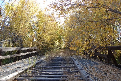 railroad in fall