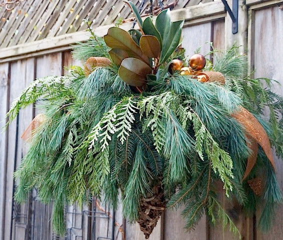 Holiday Living Fresh Christmas Greenery Basket in the Fresh