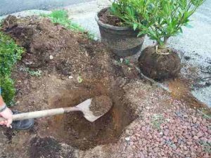 Digging Hole