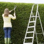 03_18-hedge-with-woman-clipping