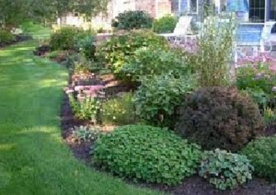 landscaping with shrubs