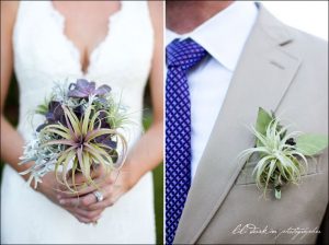 air plant in weddings