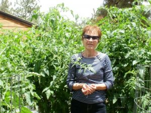 Tomato Gardener