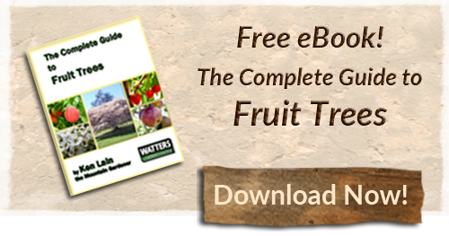 cta-fruit-tree-ebook
