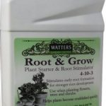 Root and Grow Plant Starter