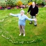 Mushroom fairy ring