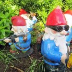gnomes in the garden with snails