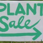 Plant Sale