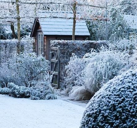 The Weatherproof Garden - Watters Garden Center