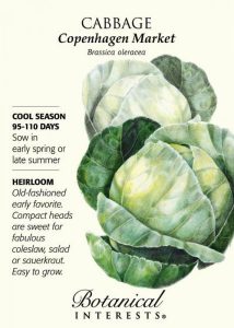 Cabage seed package